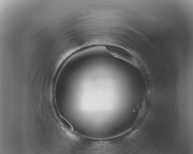 X0000077370846200610271918