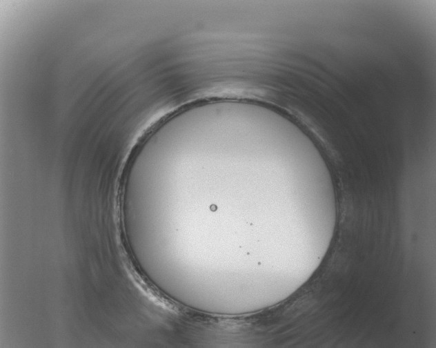 X0000077370848200610271918