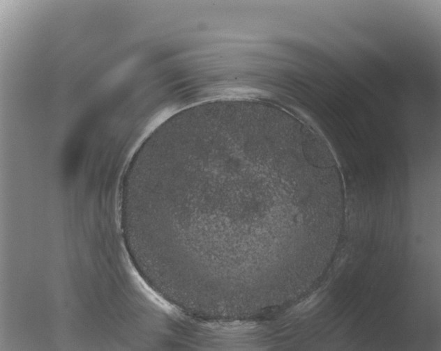 X0000077370851200610271918