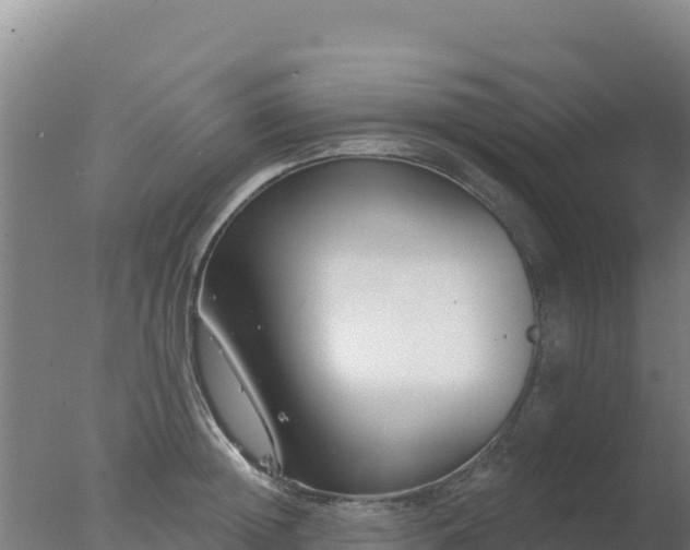 X0000077370852200610271918