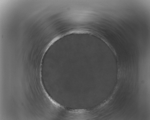 X0000077370853200610271918