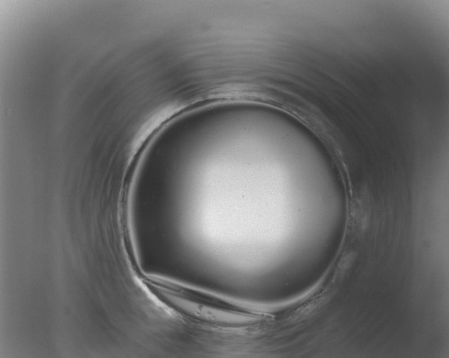 X0000077370855200610271918