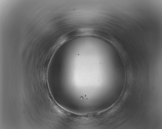 X0000077370857200610271918