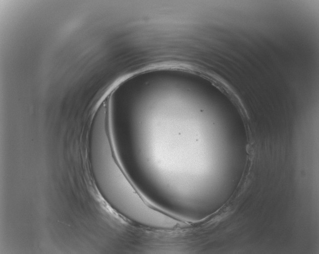 X0000077370860200610271918