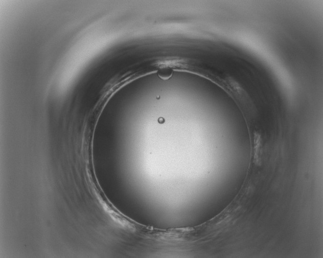 X0000077370861200610271918