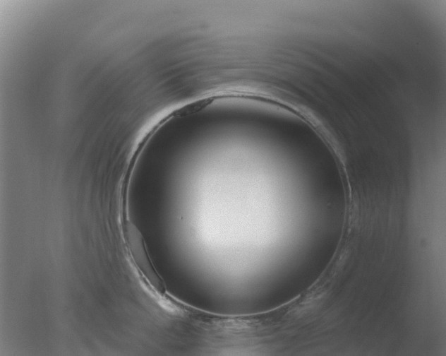 X0000077370862200610271918