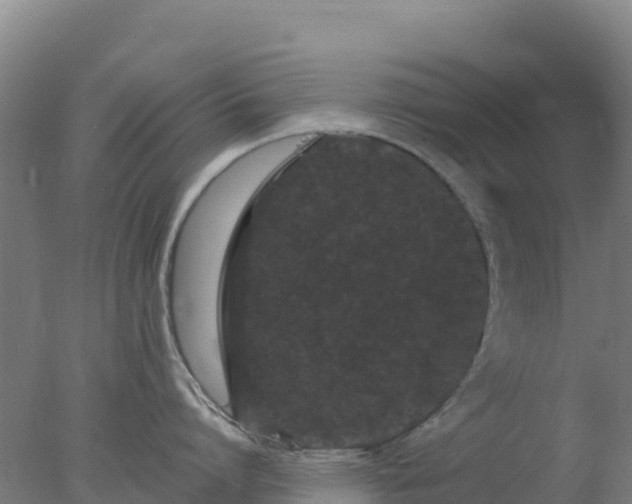 X0000077370864200610271918