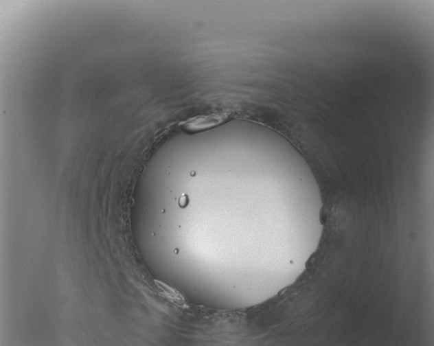 X0000077370865200610271917