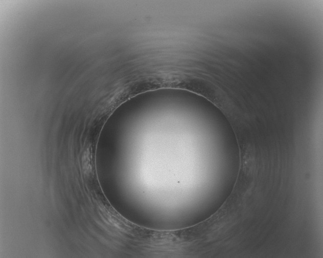 X0000077370866200610271917