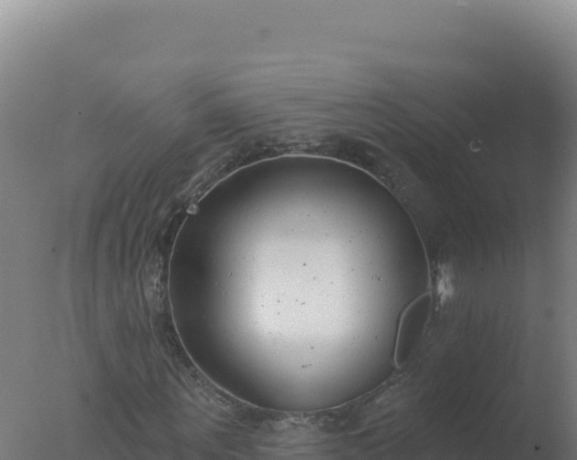 X0000077370867200610271917