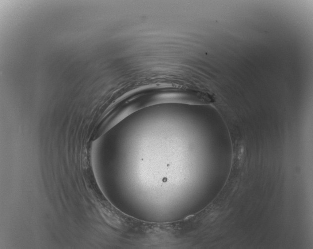 X0000077370868200610271917