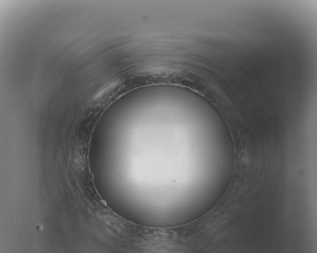 X0000077370869200610271917