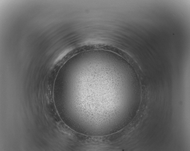 X0000077370871200610271917