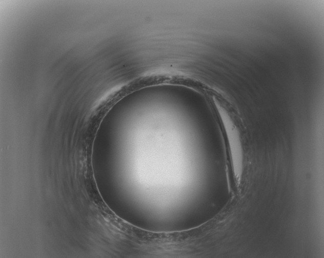 X0000077370872200610271917