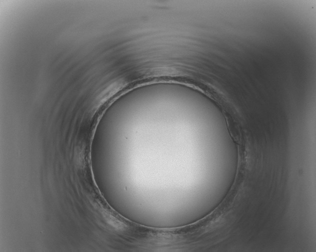 X0000077370873200610271917