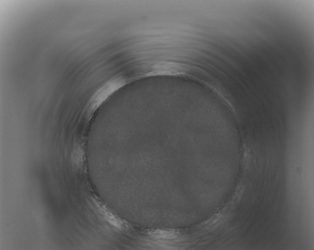 X0000077370874200610271917