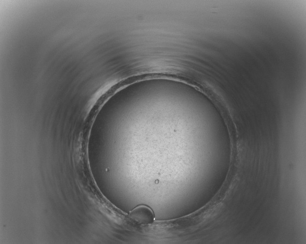 X0000077370875200610271917