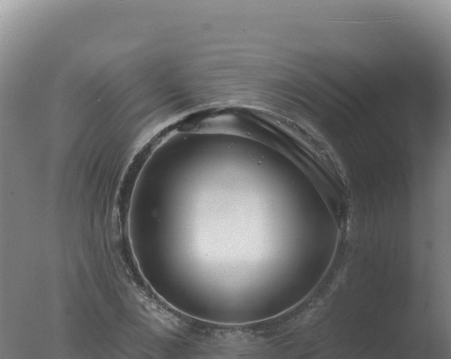 X0000077370876200610271917