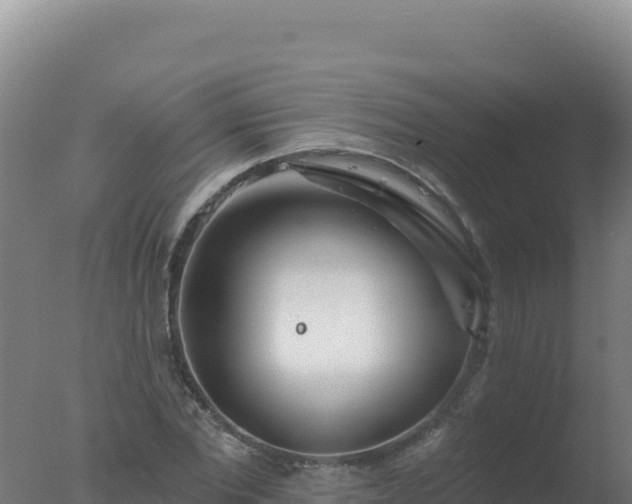 X0000077370877200610271917