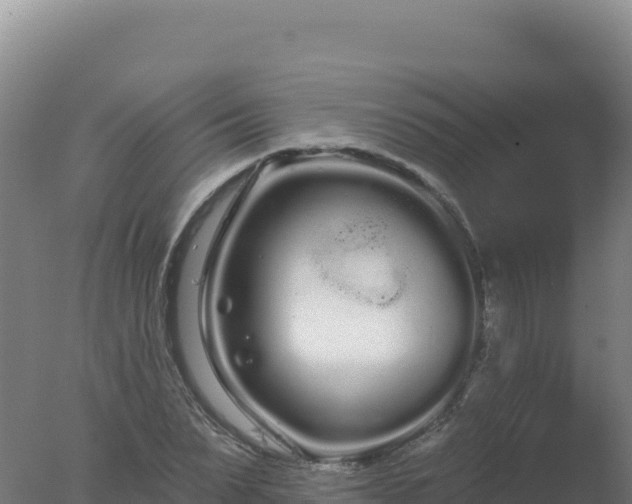 X0000077370879200610271917