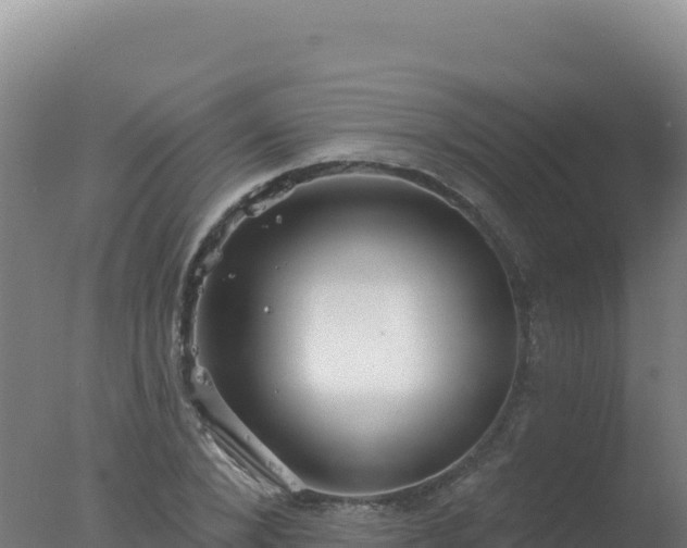 X0000077370880200610271917