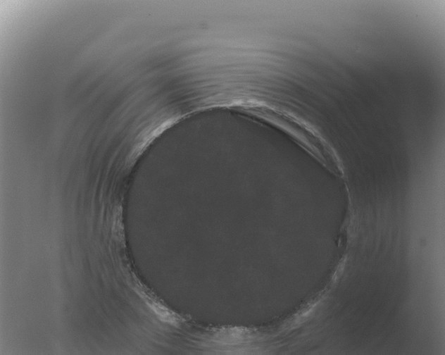 X0000077370881200610271917