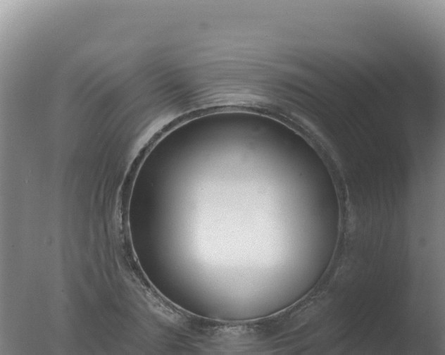 X0000077370883200610271917