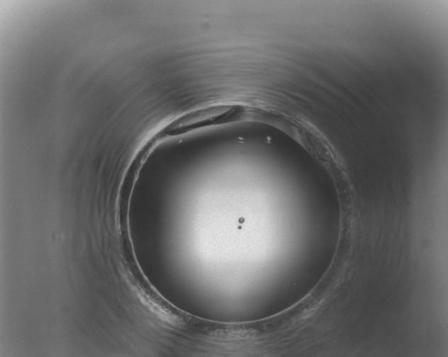 X0000077370884200610271917