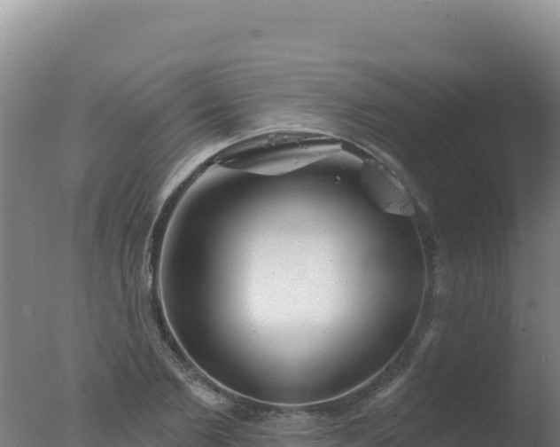 X0000077370885200610271917