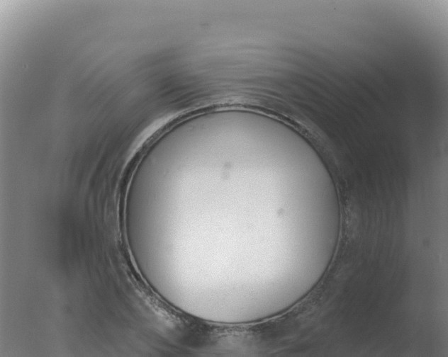 X0000077370886200610271917