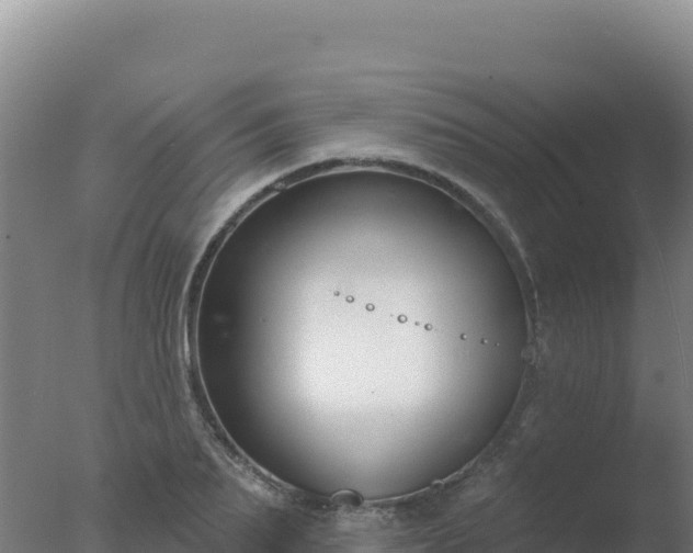 X0000077370887200610271917