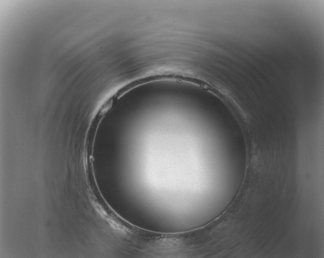 X0000077370888200610271917