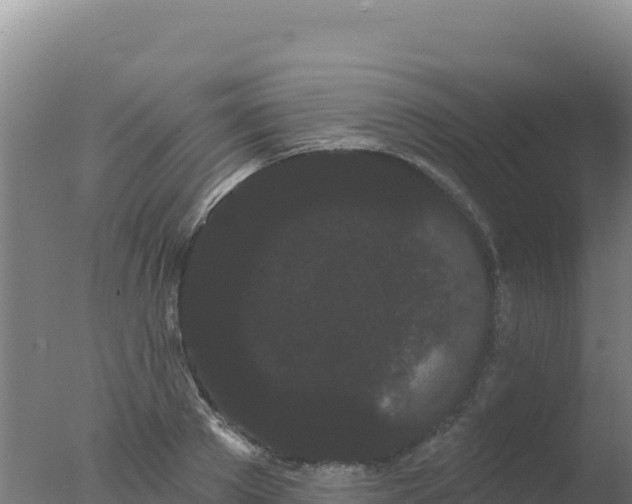 X0000077370889200610271917