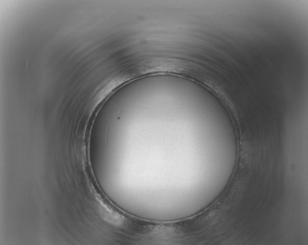 X0000077370890200610271917