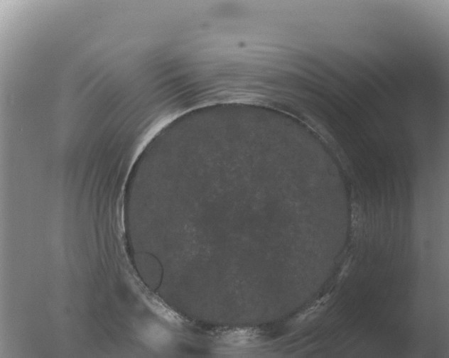 X0000077370891200610271917