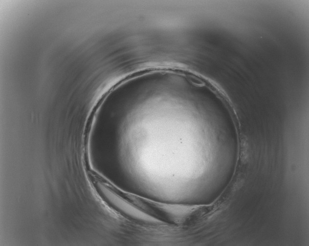 X0000077370895200610271917