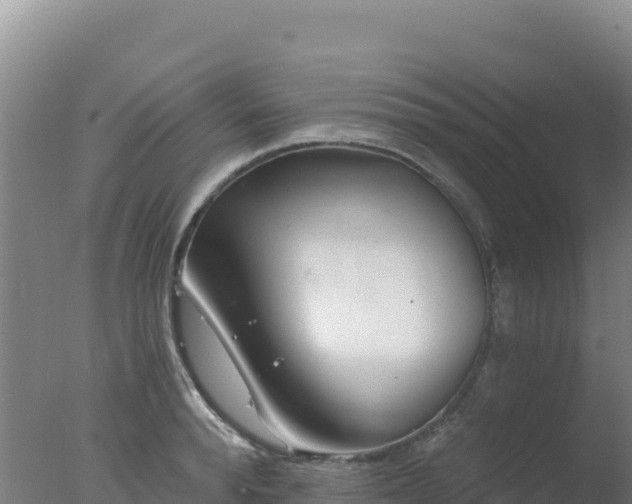 X0000077370896200610271917