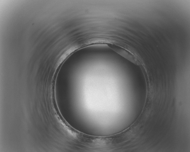 X0000077370898200610271917