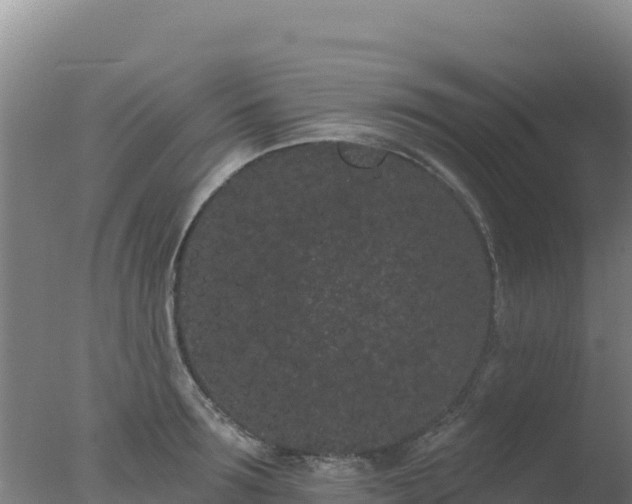 X0000077370899200610271917