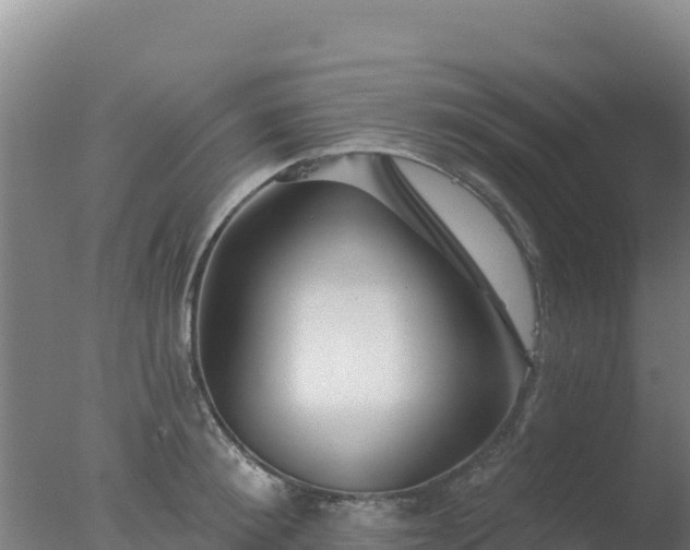 X0000077370900200610271917