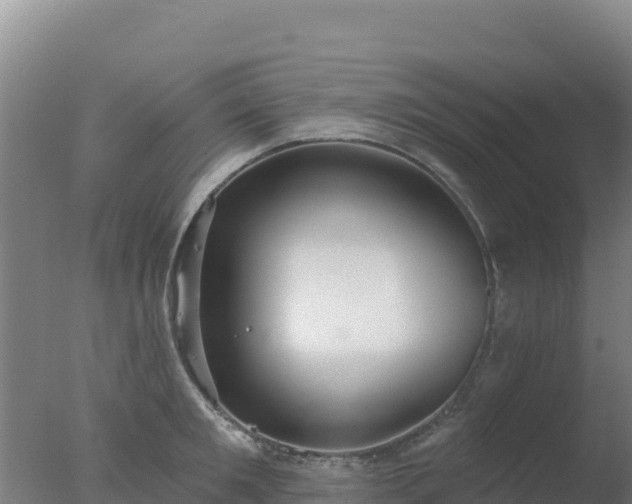 X0000077370901200610271917