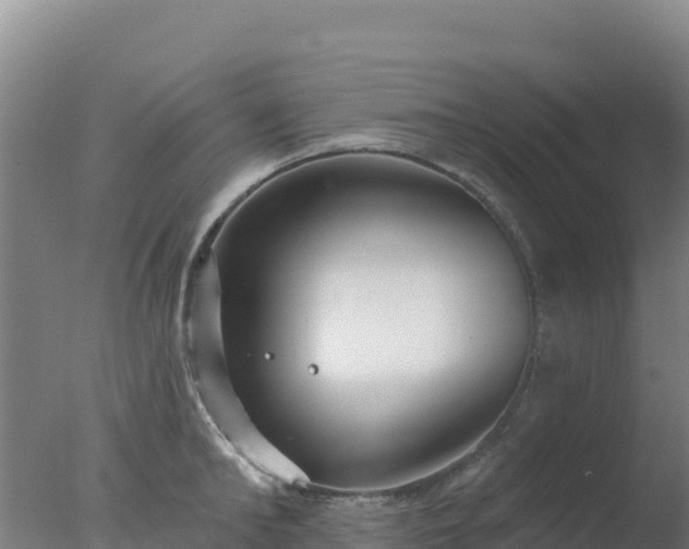 X0000077370902200610271917