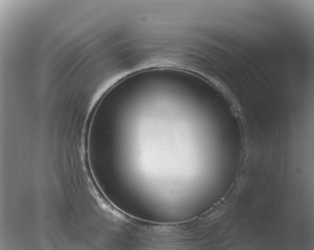 X0000077370904200610271917