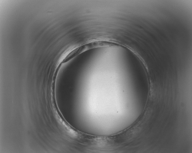 X0000077370906200610271917