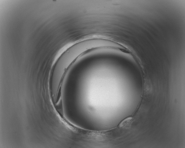 X0000077370910200610271917