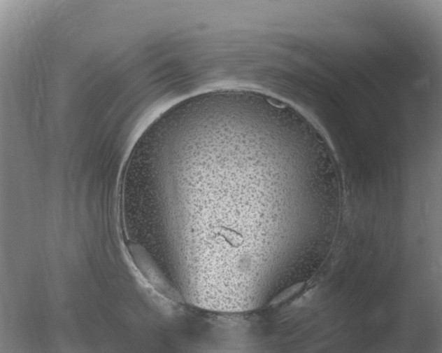 X0000077370911200610271917