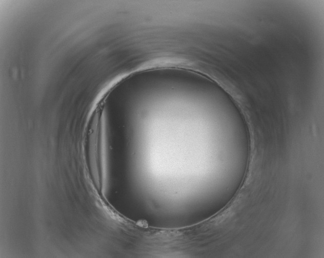 X0000077370912200610271917