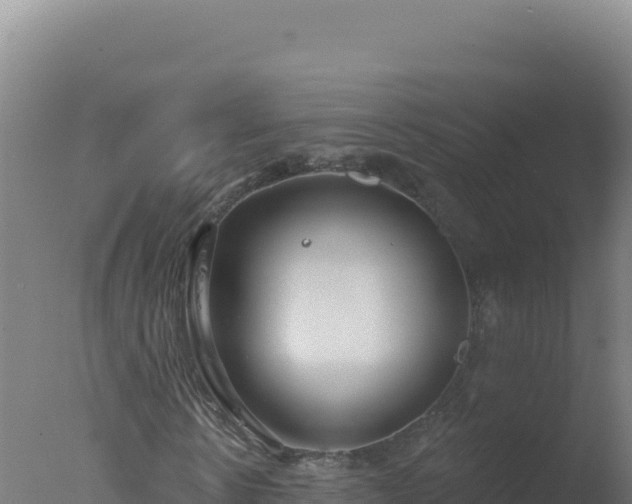 X0000077370914200610271916