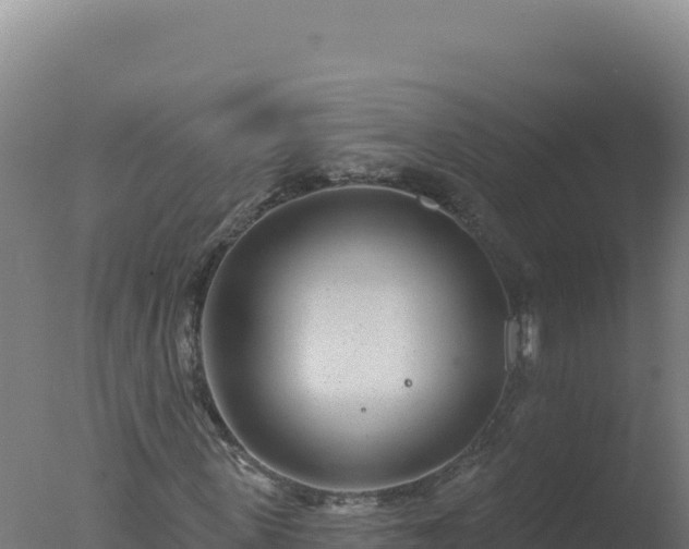 X0000077370915200610271916