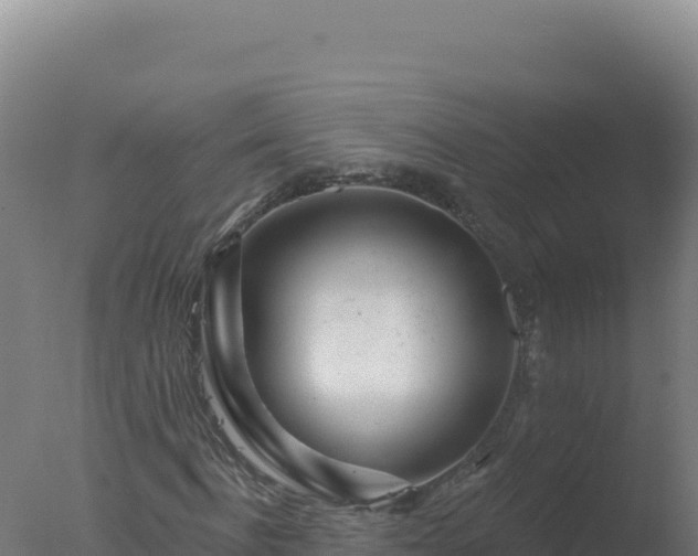 X0000077370916200610271916